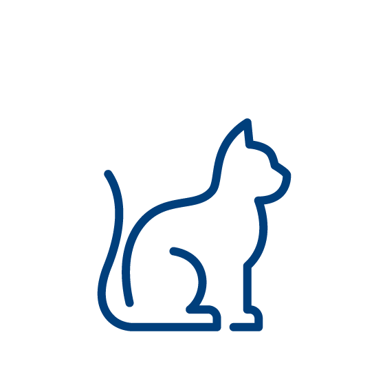 cat icon