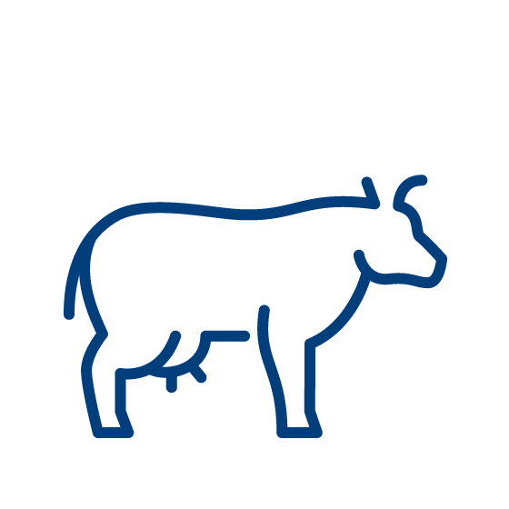 cow icon