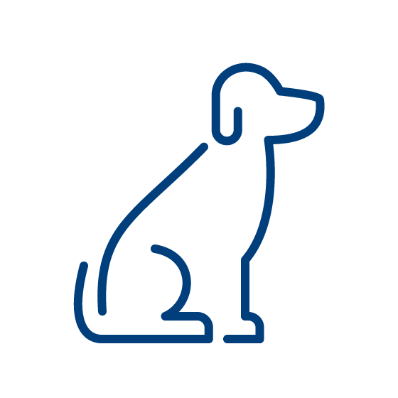 dog icon