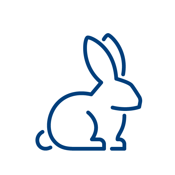 rabbit icon