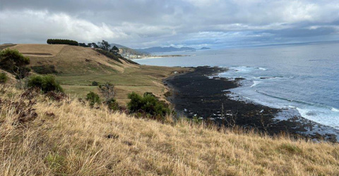 Landscape of Tasmania