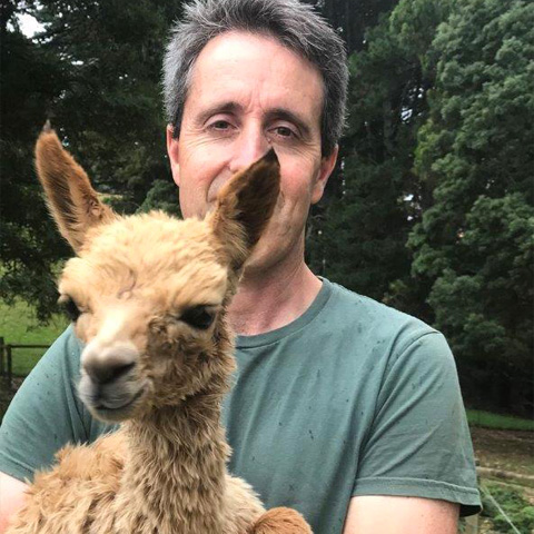 Picture of vet and alpaca